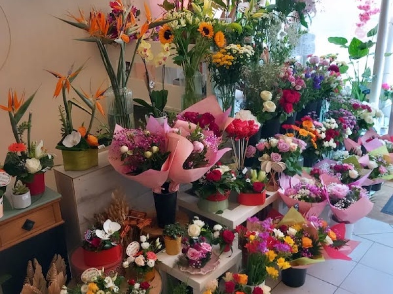 PHOTOS FLEURS AND CO 0520254
