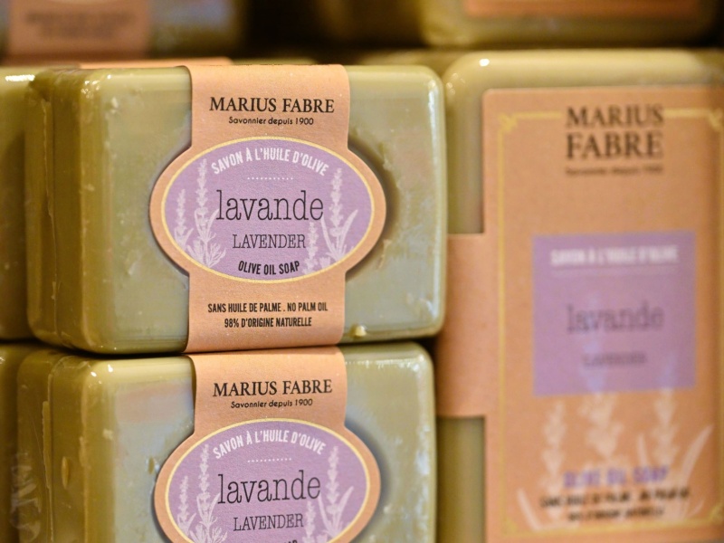 arbre_savon_2026 (13)